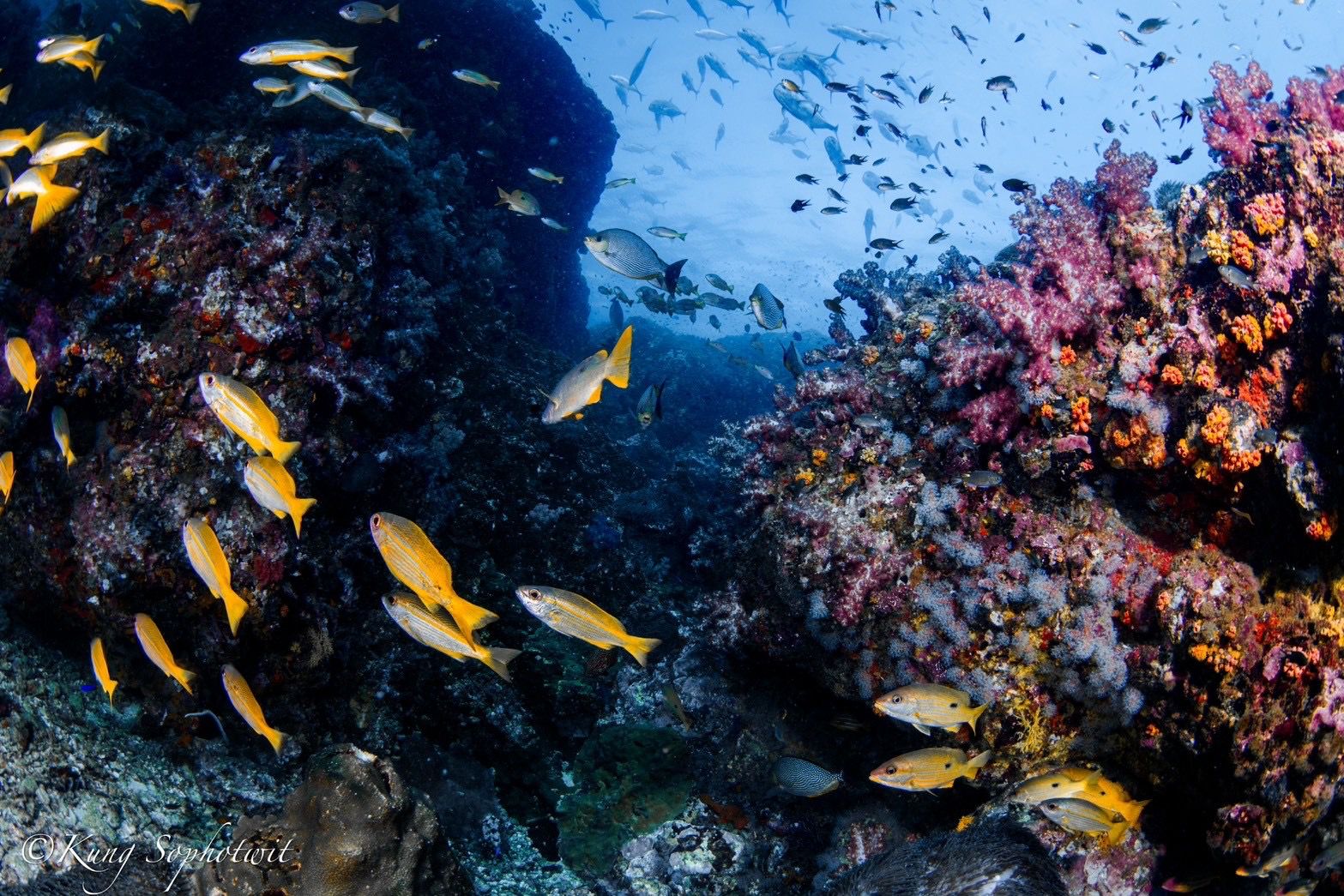 Underwater photography 8