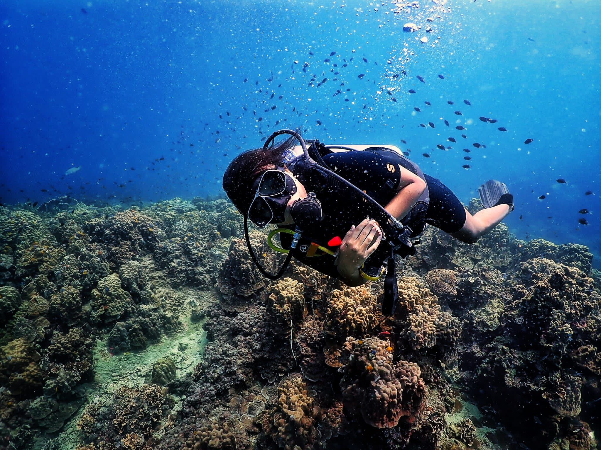 Underwater photography 4