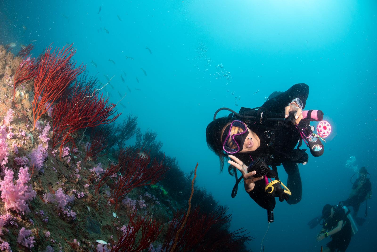 Underwater photography 3