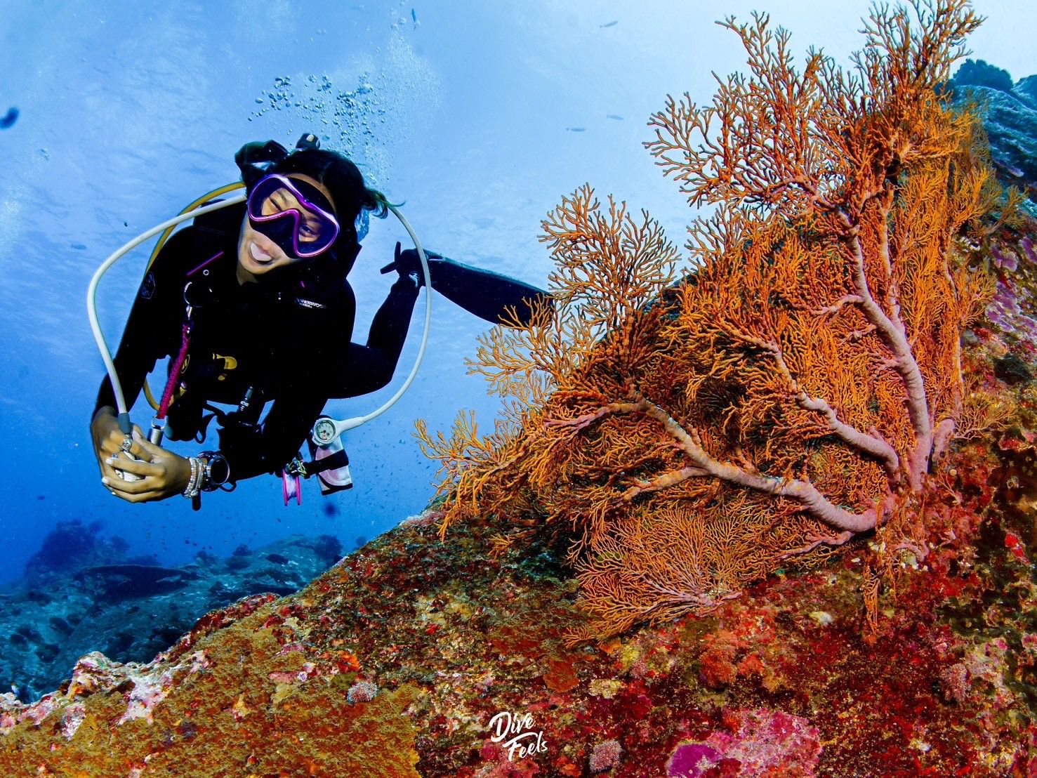 Underwater photography 5